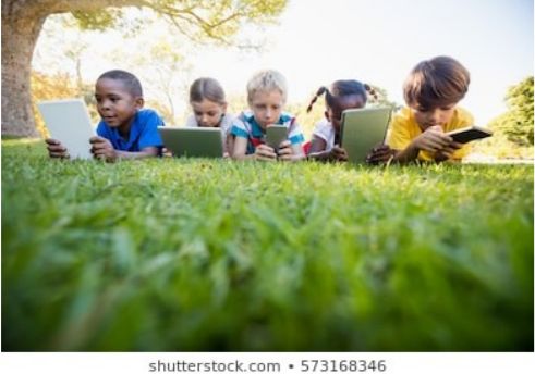 491